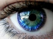 Человеческий глаз способен уловить инфракрасное излучение 