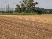 Аграрії України засіяли вже 32% від запланованих площ