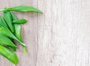 Действительно ли она так хороша: полезные свойства черемши