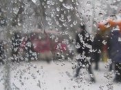 Киевлян предупреждают о сильном ветре и мокром снеге