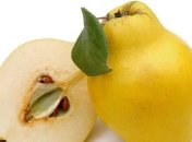 В чем польза айвы