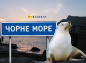 Черное море