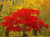 1 октября. Приметы дня