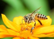 2 июля. Приметы дня