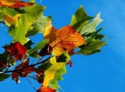 17 сентября - праздник, что категорически запрещено делать, главные приметы