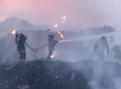 Пожары в Украине: под Полтавой горит свалка
