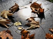 Дощі з мокрим снігом і заморозки: синоптики розповіли, де вдарить негода