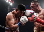 Майки Гарсия: Я год вызывал Ломаченко на бой, но движения навстречу не было