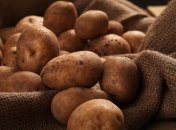 Защита картофеля от фитофторы