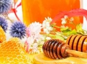 Мед эффективней антибиотиков