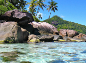 Что привезти из Сейшельских островов?