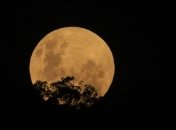 Редкое затмение: человечество в разных уголках мира увидело "кровавую луну" (фото, видео)