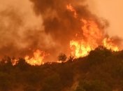 В результате лесных пожаров в Канаде эвакуированы 14 тысяч человек