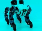 Как тебе такое, Boston Dynamics: робота-собаку научили взбираться по вертикальным лестницам (Видео)