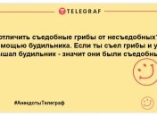 Найсмішніші анекдоти для відмінного продовження дня