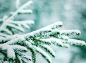 Погода в Украине на 2 января: во всех регионах страны - снег и мороз