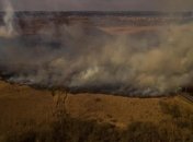 В Киевской области показали последствия поджога сухой травы (Фото)