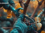 Обрізка винограду - важливий етап по догляду за ним (зображення створено за допомогою ШІ)