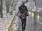 Дождь, снег и ветер: какой будет погода в первые дни зимы 