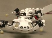 Ученые изобрели робота-саламандру, который может плавать под водой 