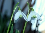 Приметы и обряды на 27 февраля – День Кирилла