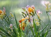 Дождь, град и сильный ветер: в Украину идет циклон, погода ухудшится