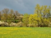 В Украине существенно потеплеет, но местами будут заморозки