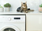 Отключать нужно когда надолго уезжаете, когда гроза и когда есть перебои с электричеством