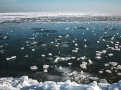 Не отличить от Арктики: опубликованы потрясающие снимки покрытой льдом Бердянской косы (фото)