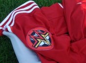 Запорожский "Металлург" собирается получить профессиональный статус