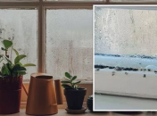 Конденсат на окнах – распространенная проблема