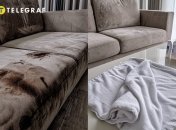 Есть несколько способов, как вывести пятна от вина из дивана (изображение создано с помощью ИИ)