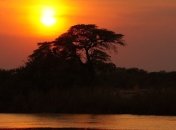 В Африке найдено место, откуда произошли современные люди