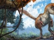 Ученые нашли оперенный хвост динозавра