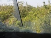 Геращенко говорит о провале "хлебного перемирия"