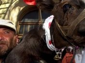 Тысячи британских фермеров провели акции протеста 