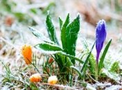 Прогноз погоды на 20 апреля: в Украину надвигаются заморозки