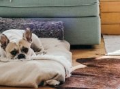 Що в першу чергу потрібно дезінфікувати, коли приходиш додому