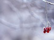 В Украину возвращается настоящая зима: прогноз погоды на выходные