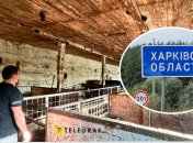 Ферма в Харьковской области