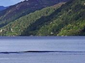 Фотографу удалось заснять Лох-несское чудовище (Фото, видео)