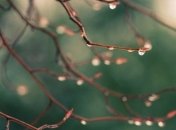 Погода в Украине 18 апреля: во всех областях - дожди