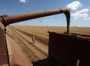 путін висунув умови повернення росії в зернову угоду: їх аж шість пунктів