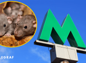 Грызуны в столичной подземке