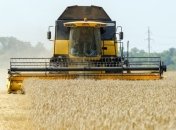 Минагропрод повысил прогноз урожая зерновых в Украине до 63 миллионов тонн