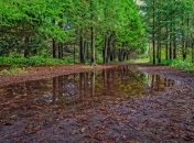 Хорошей погоды ждать не стоит: прогноз на 16 августа