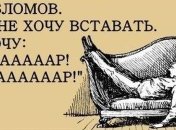 Хикикомори: как в реальности живут современные Обломовы (Фото)