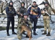 Почти 45 га на Донбассе очистили от мин за неделю