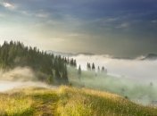 Туманы в Украине, из-за которых можно полюбить осень (Фото) 