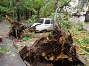 Ураган пронесся над Украиной: разрушены дома, повалены деревья